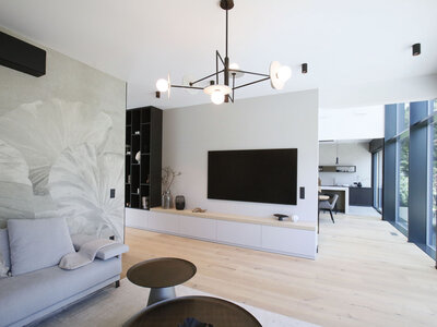 Musterhaus Vision by Danwood 207