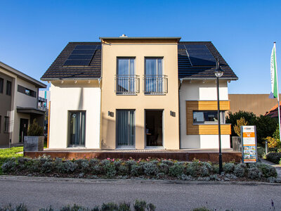 Haas MH Fellbach 163